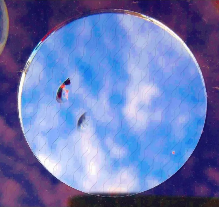 212370698 118420377150387 7186878260675075243 n 768x727