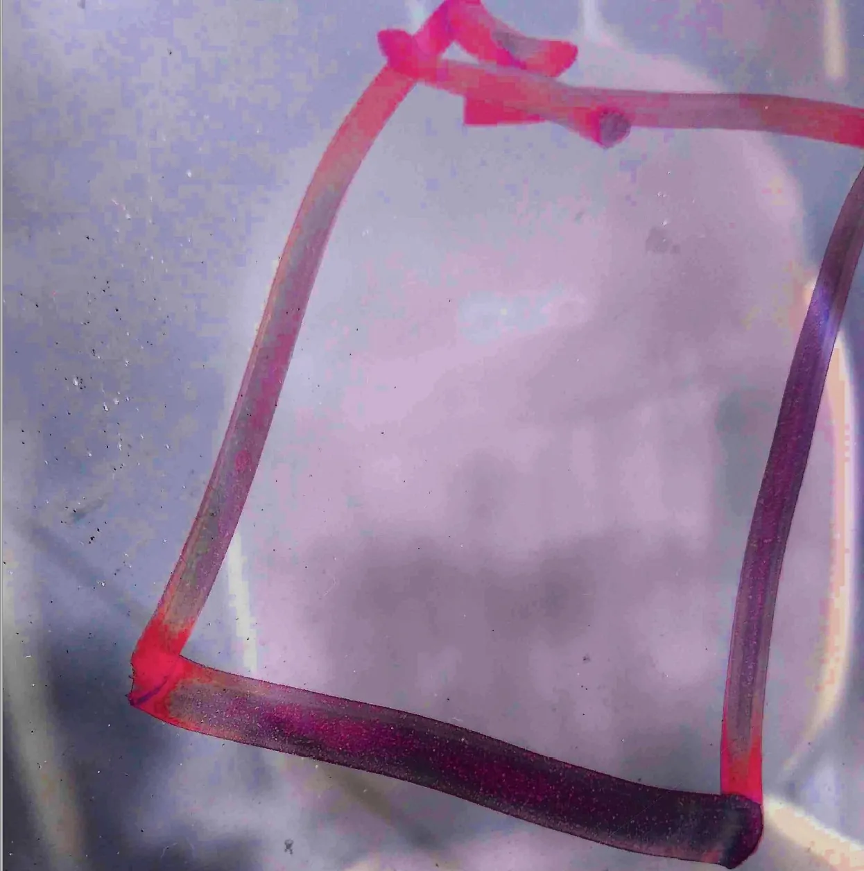 241149555 136321622026929 2052657882977946215 n