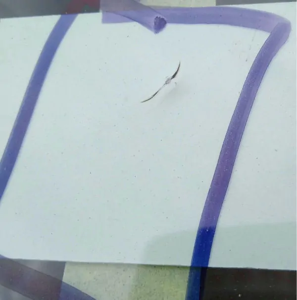 241149555 136321622026929 2052657882977946215 ndsfgsafgasg